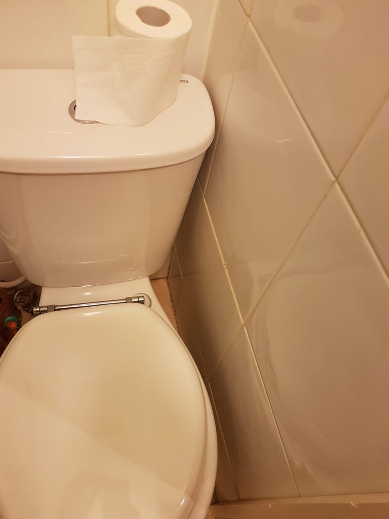 using the toilet too often