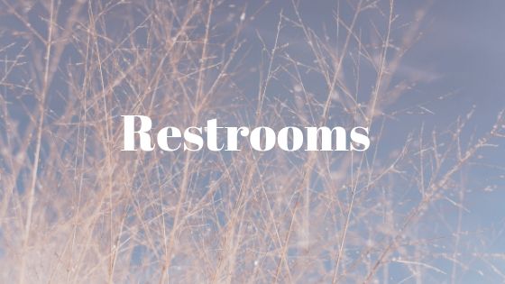 Toilet as Restrooms