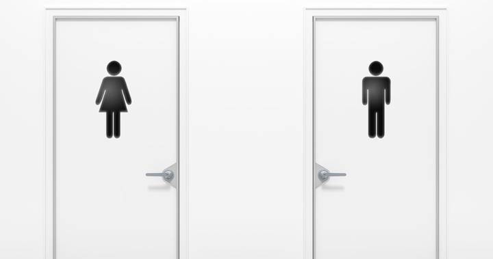 Male and female toilet ratio