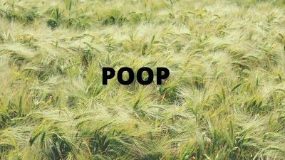 Common terms used for poop