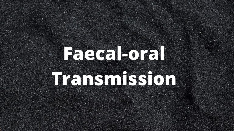 Faecal-oral transmission