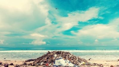 Some things you should not force down a flushable portable toilet