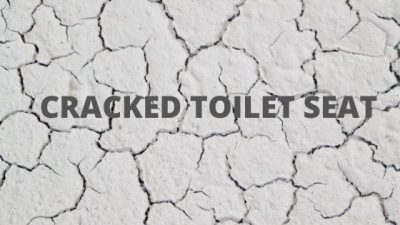 cracked toilet seat