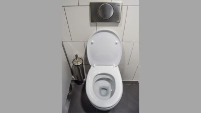 The thumping sound of the toilet seat