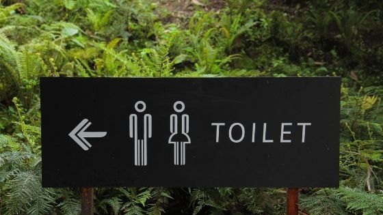 public toilet green