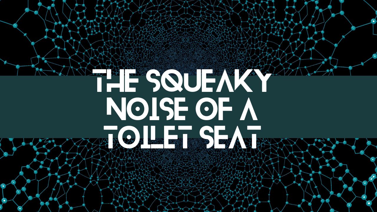 toilet seat squeak